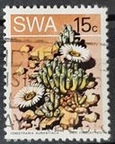 [Desert Plant, type EC]