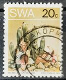 [Desert Plant, type ED]