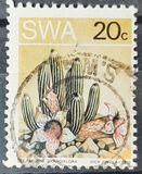 [Desert Plant, type ED]