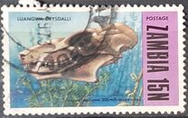 [Prehistoric Animals - Fossils from the Luangwa Area, type CP]