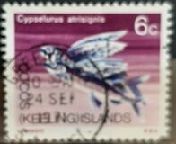 [Naturaleza de las islas Cocos. Moneda decimal., tipo M]