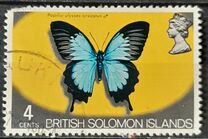 [Flora and Fauna, Tipi DW]