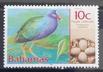 [Birds and their Eggs, type AKD]