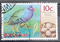 [Birds and their Eggs, type AKD]