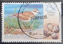 [Birds and their Eggs, type AKG]