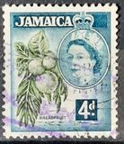 [Local Motifs, typ EE]