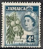 [Local Motifs, typ EE]