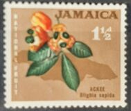 [Local Motifs, סוג FY]