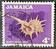 [Local Motifs, סוג GC]