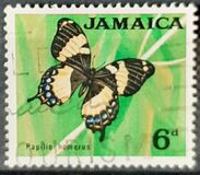 [Local Motifs, סוג GD]