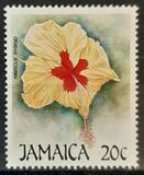 [Flowers, Вид XQ]