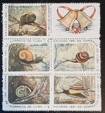 [Christmas, тып YD]