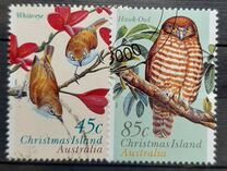 [Christmas Island Land Birds, տեսակ OP]