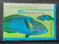 [Fish, type OXX]
