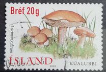 [Edible Mushrooms, type ABV]