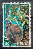 [Marine Life, type FM]