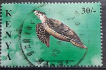 [Marine Turtles, type ABJ]