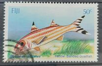 [Shallow Water Marine Fish, type PT]