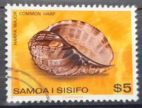 [Shells, tipas MU]