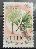 [Endangered Trees, type ACB]