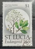 [Endangered Trees, type ACC]