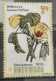 [Christmas, type DY]