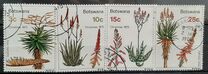 [Christmas - Aloes, type EM]