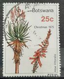 [Christmas - Aloes, type EP]