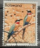 [Birds, type KO]