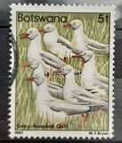 [Birds, type KQ]