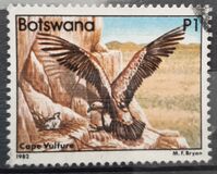 [Birds, type LC]