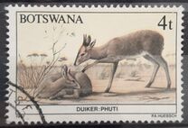 [Animals of Botswana, type OP]