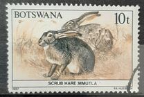 [Animals of Botswana, type OT]