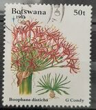 [Christmas - Flora, type UN]