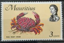 [Marine Life, タイプ EY]