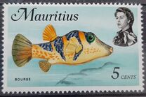 [Marine Life, タイプ FA]
