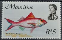 [Marine Life, タイプ FN]
