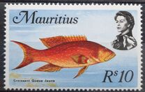 [Marine Life, type FO]