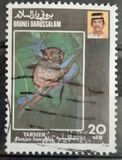 [Endangered Species - Western Tarsier, type JG]
