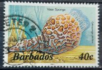 [Marine Life, type RR]