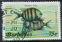 [Marine Life, type RV]