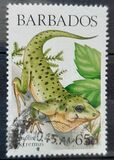 [Lizards of Barbados, տեսակ UO]
