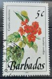 [Wild Plants, tip VQ]
