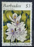 [Water Lilies, タイプ ABZ]