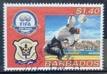 [The 100th Anniversary of FIFA (Federation Internationale de Football Association), 類型 AVJ]