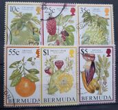 [Flowering Fruits, type TU]