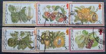 [Flowering Fruits, type UI]