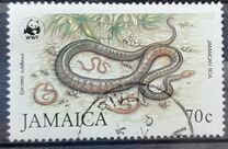 [WWF - Jamaican Boas, type VA]