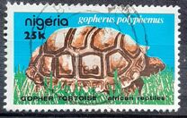 [African Reptiles, tegund OU]