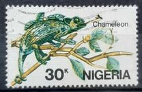 [African Reptiles, tegund OV]